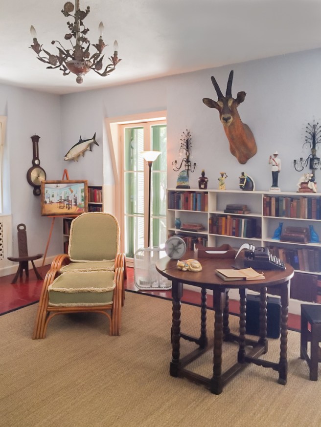 Hemingway cat (2 of 5)